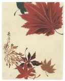 «Суми-Э»: Сибата Дзэсин - «Осенние листья»